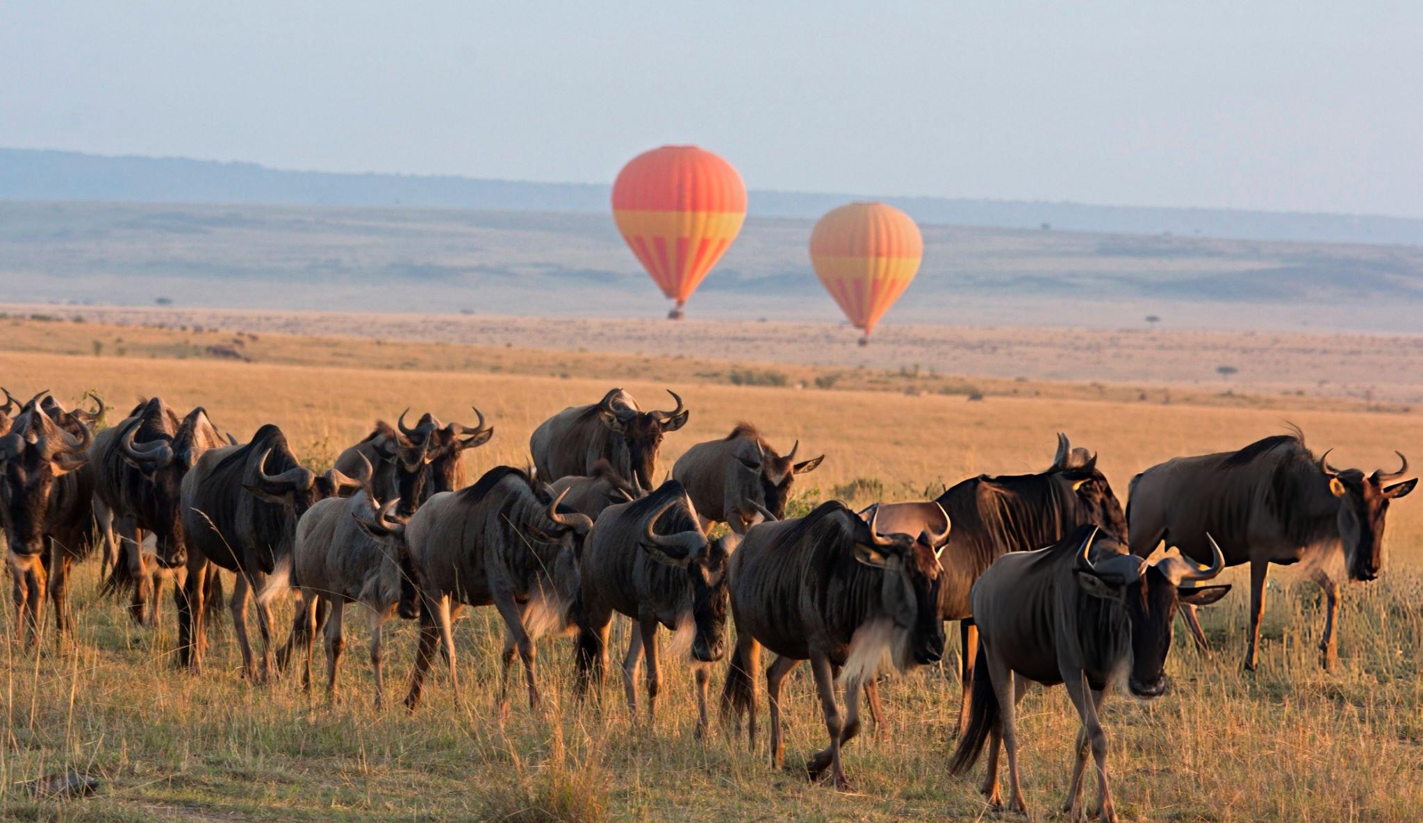 Maasai Mara